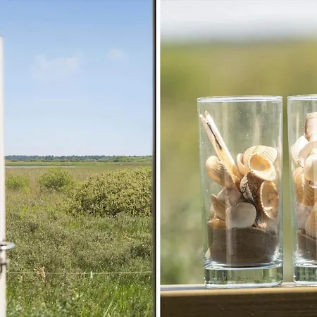 0058-romo-lakolk-183 Ferienhaus